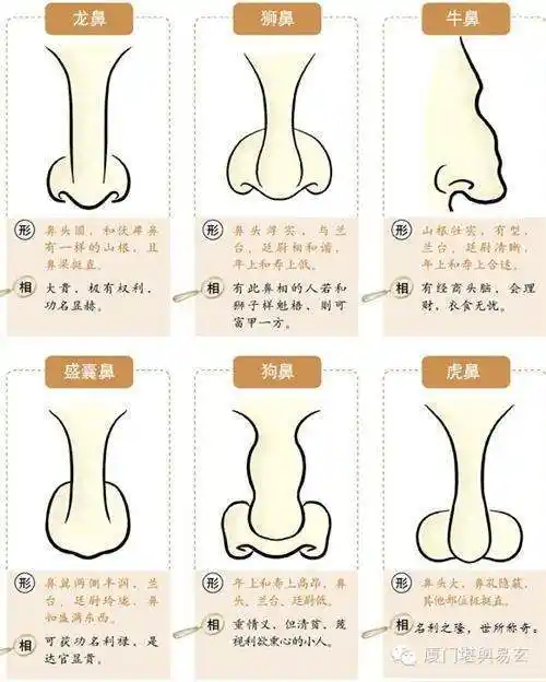 男人鼻子歪面相婚姻(鼻子歪嘴歪的男人面相)