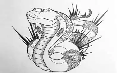 76张黑白眼镜蛇纹身手稿图片