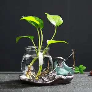 创意绿萝水培植物玻璃透明水养花瓶插花陶瓷花盆器皿客厅装饰摆件
