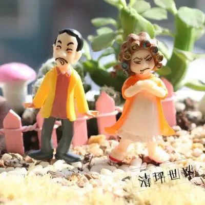 2016新款新年爆款包租公包租婆微观盆景多肉摆件花园摆饰微景观盆栽园