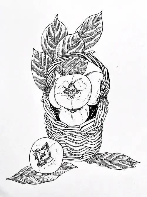 黑白线描  #画画  #每日一画 #线描画  #线描静物  #写生线描