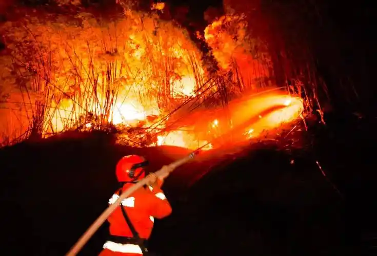 人报甘头条|甘肃森林消防员重庆救火 14天连续转战 7个火场_队伍_灭火