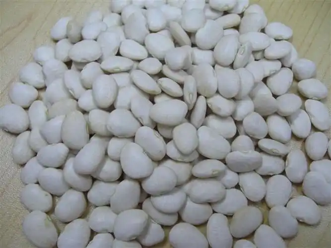 崇明白扁豆出售崇明白扁豆供应崇明白扁豆批发