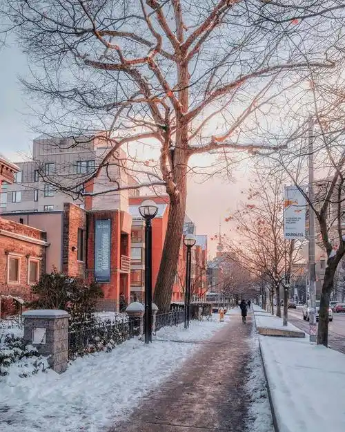 多伦多的冬天.ins:arjsun