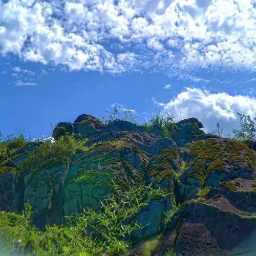 【nex】山黛秋色