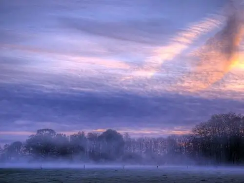 清晨,黎明,日出,云海,雾,树木 壁纸 - 1600x1200