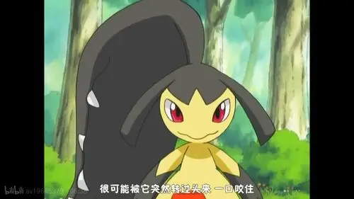 神奇宝贝盘点第九期