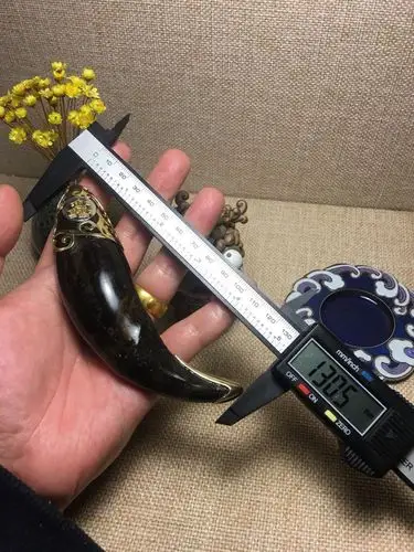 老虎牙化石值多少钱