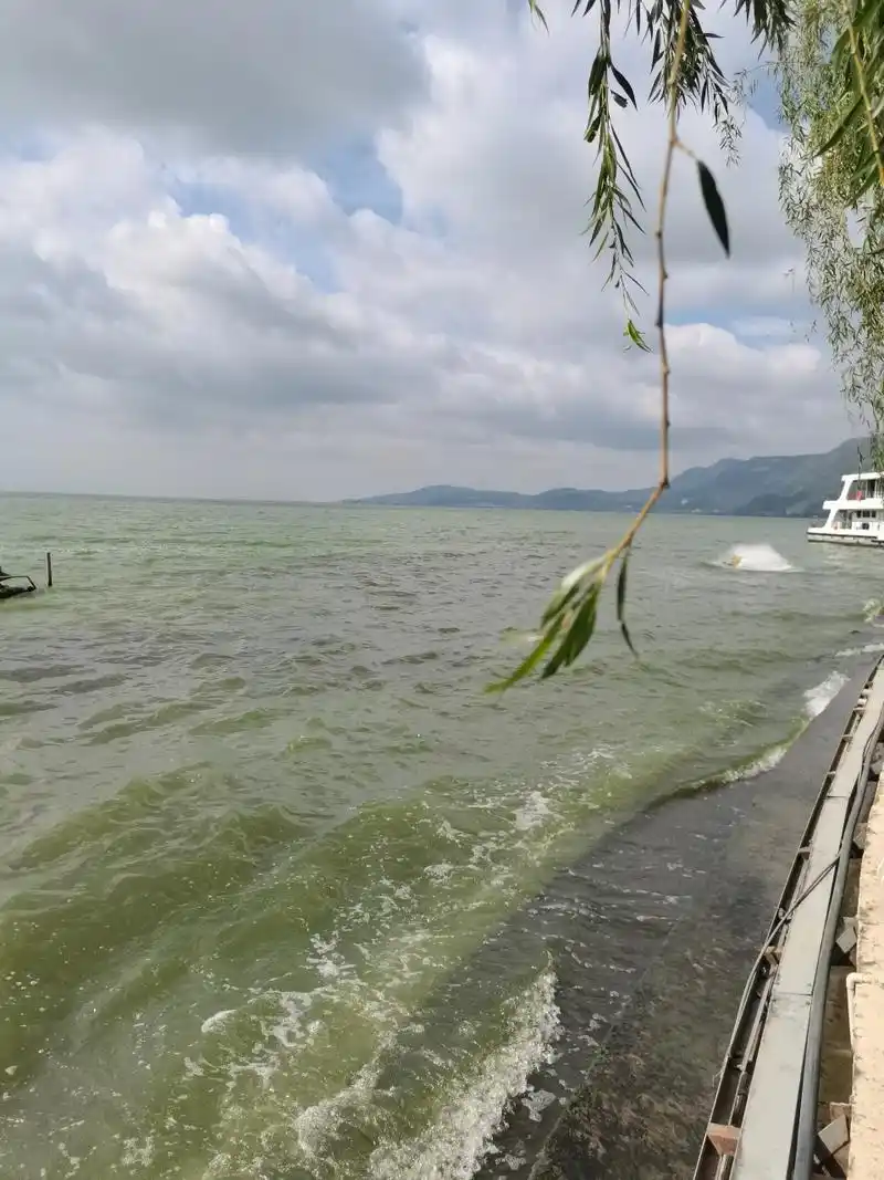 滇池:海埂公园一角