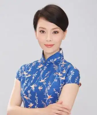 图美女陈数简介详解白玉兰奖最佳女演员