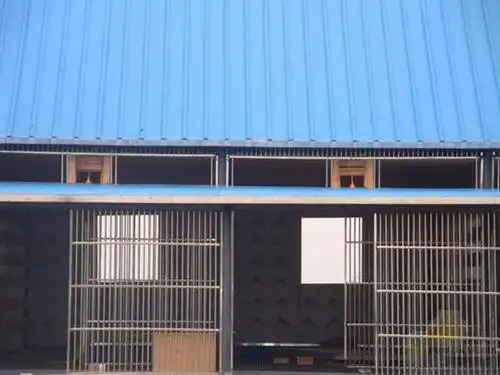 重庆龙乡赛鸽公棚全景图片花絮