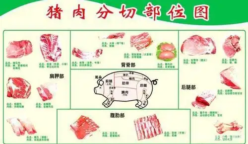 猪的哪些部位不能吃?