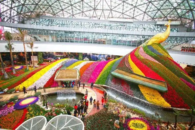 游昆明必须去的花之城打卡攻略干货满满