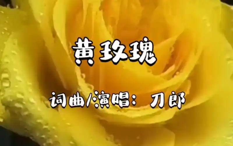 刀郎为女儿创作的《黄玫瑰》,婉转动人,充满爱意