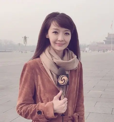 曾获得凤凰卫视全球最佳采访记者大奖,最具职业精神大奖,最佳独家采访