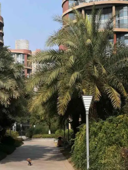 水韵尚城-".温江一个比较好的小区,非常的干净,绿化."-大众点评移动版