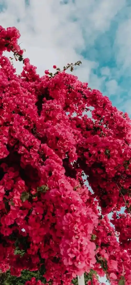 有没有什么让人一眼看上去就很心动的头像或壁纸