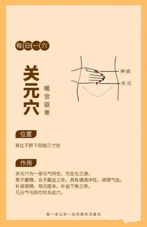 看似不起眼的艾灸竟然也能减肥?_穴位_调节_身体状况