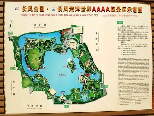 上海长风海洋世界一日游