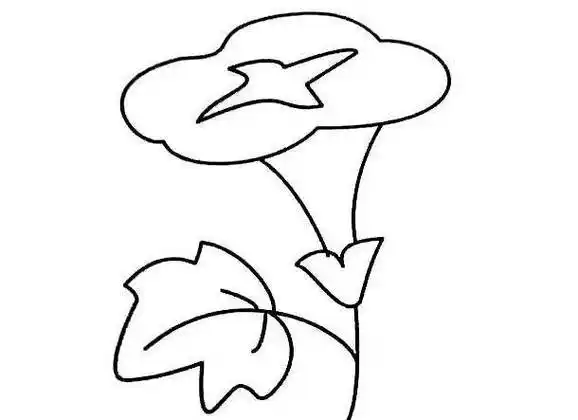 【绘画教程】牵牛花简笔画教程【简笔画】简单用椭圆画出牵牛花儿童简