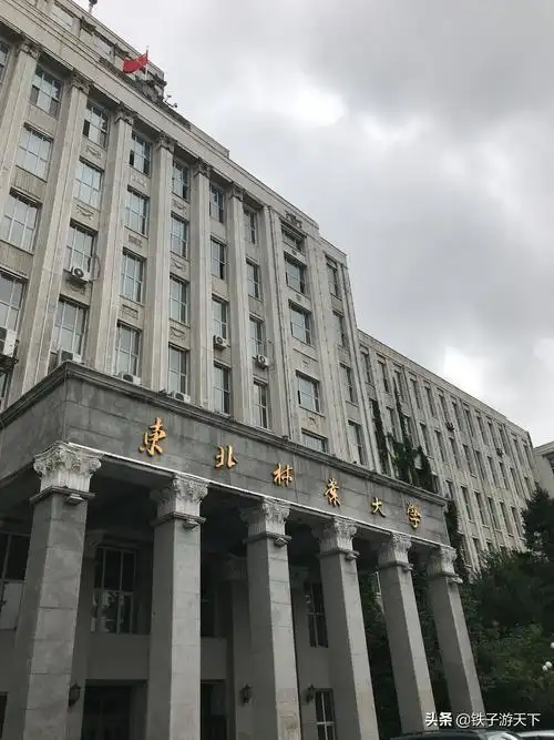 东北林业大学在哪(为什么不建议去东北上大学)