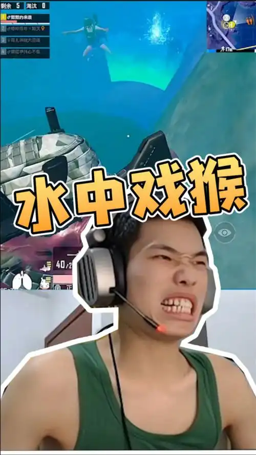 鲨鱼哟:海岛奇观双龙戏猴!看到后笑翻网友?