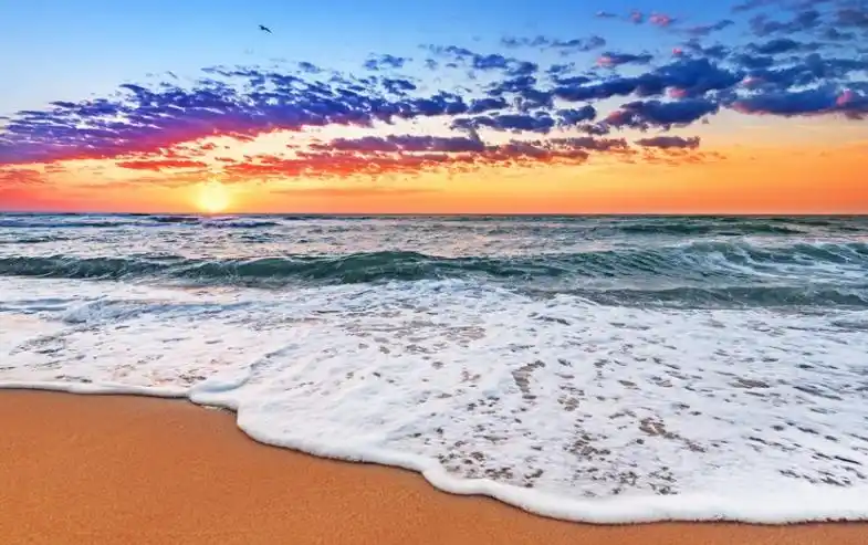 风景配图痛到心碎的伤感句子悲凉无助让人泣不成声