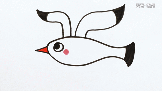 滇池红嘴鸥简笔画