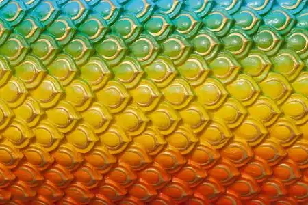 金黄色的龙鳞图片