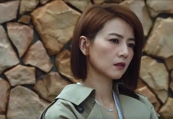 中国女星高圆圆重回萤光幕主演的新剧《完美伴侣》,接档周迅,黄磊合演