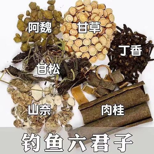 钓鱼六君子鱼饵野钓钓鱼配方中药材混合药酒山奈丁香钓鱼中药酒
