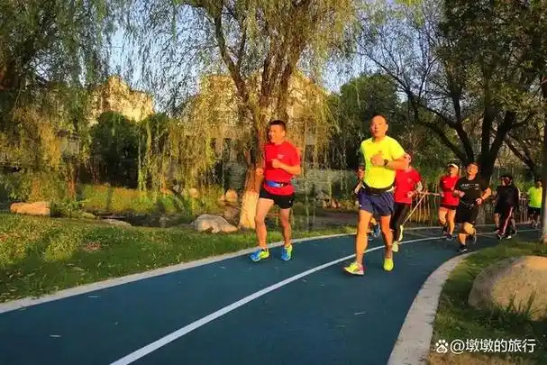 桐乡市新世纪公园城市的绿色氧吧