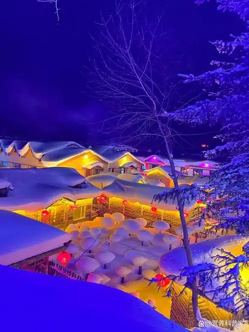 那些冬天才有的美景#冬天的美景冬天,是一个充满神秘和美丽的季 ..