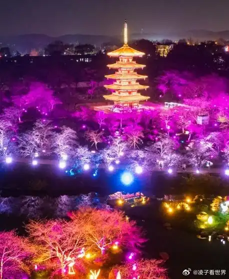 武汉东湖樱花园今日正式开园##春游季