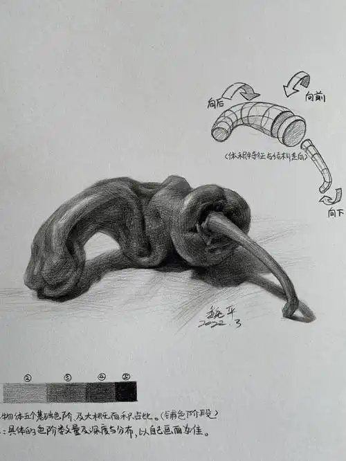 本文共8张步骤图内容从剪影到塑造#素描  #美术生  #素描静物@一起