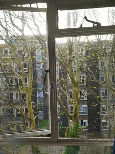 总是喜欢拍窗外的树,其实窗户也蛮好看的唷!