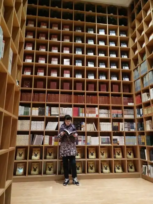 林则徐小学四年一班许心远寒假好习惯阅读的培养 写美篇作家曹文轩说