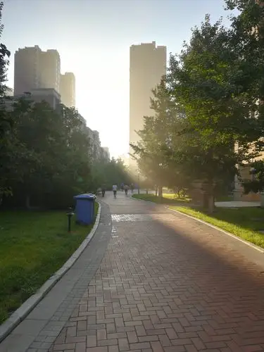 橡树湾的薄雾清晨