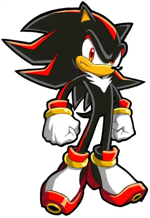 chronicles: the dark brotherhood(索尼克编年史:黑暗兄弟会,ソニッ