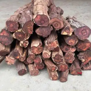 降真香原木 印尼降真香老料珠子手串佛珠料藤香木降真香原木料雕刻料