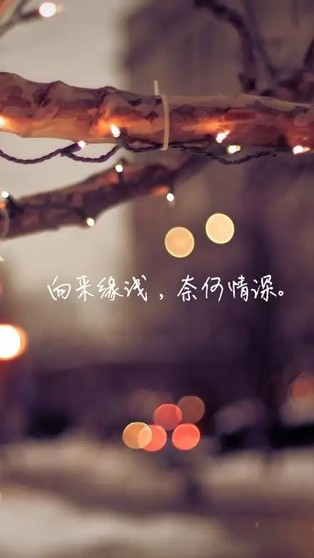 伤感文字皮肤图片向来缘浅奈何情深