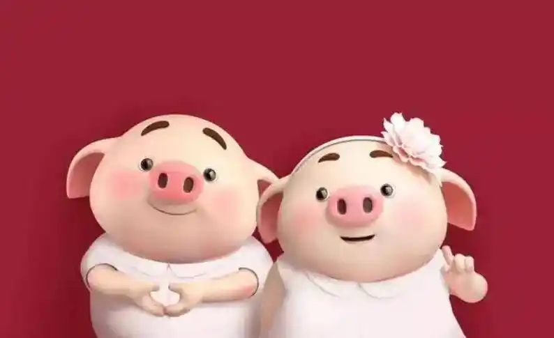 感人爱情小故事恩爱的小猪