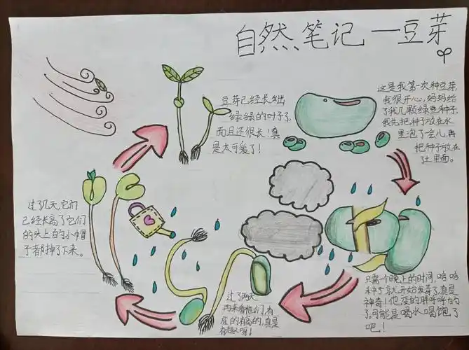 自然笔记之秋——盘庚小学五一班