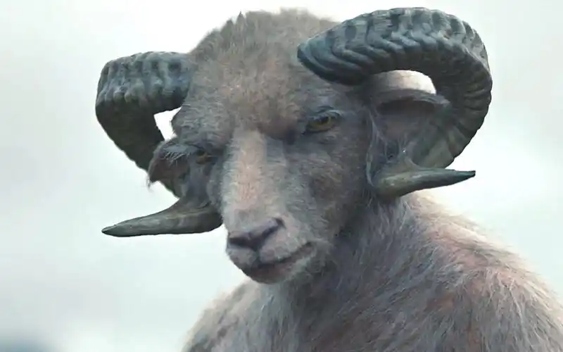 2021最新恐怖片,年轻夫妇收养羊头怪,没想到大难临头《羊崽》_哔哩