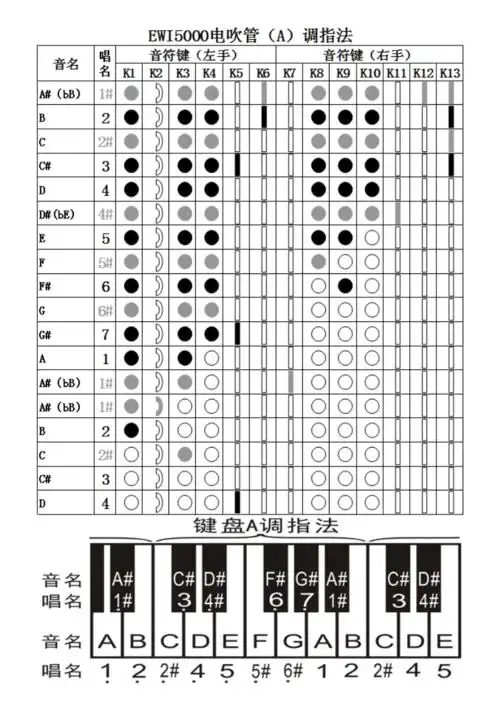 ewi5000电吹管常用指法.doc