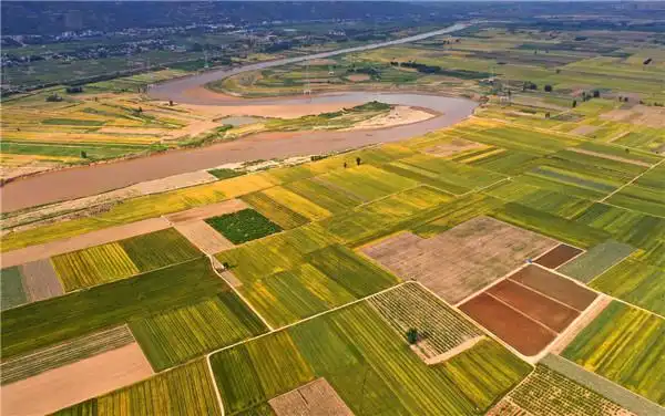 陕西渭南小满将至关中平原田园美