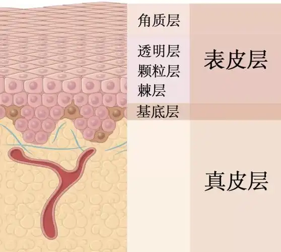 2021美容仪推荐攻略美容仪怎么选美容仪哪个牌子好附