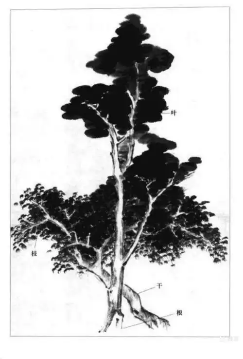 我们一起学国画*山水*(五)树枝的画法