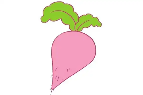 萝卜简笔画图片步骤四