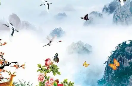 张姓宝宝取名大全